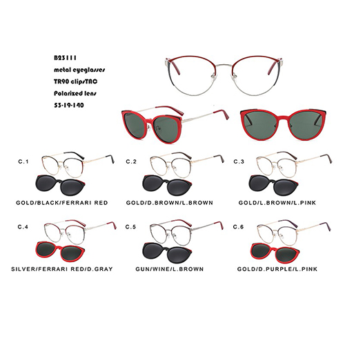 All-match Polarized Lens Sunglasses W31623111