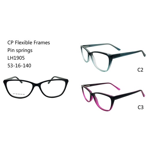 Pin Spring Eyeglasses CP W3451905