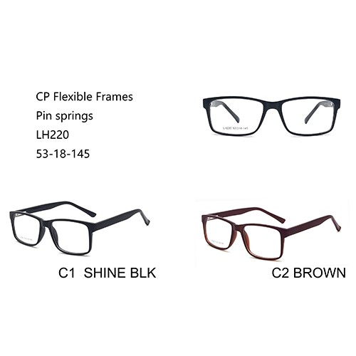 CE Eye Glasses CP W345220