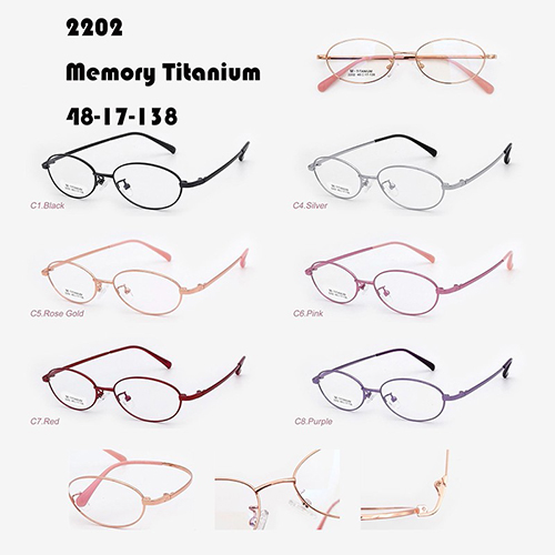 Color Memory Titanium Optical Frame J10032202