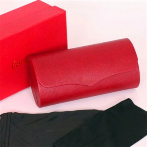 Sunglasses Case Luxury CT001