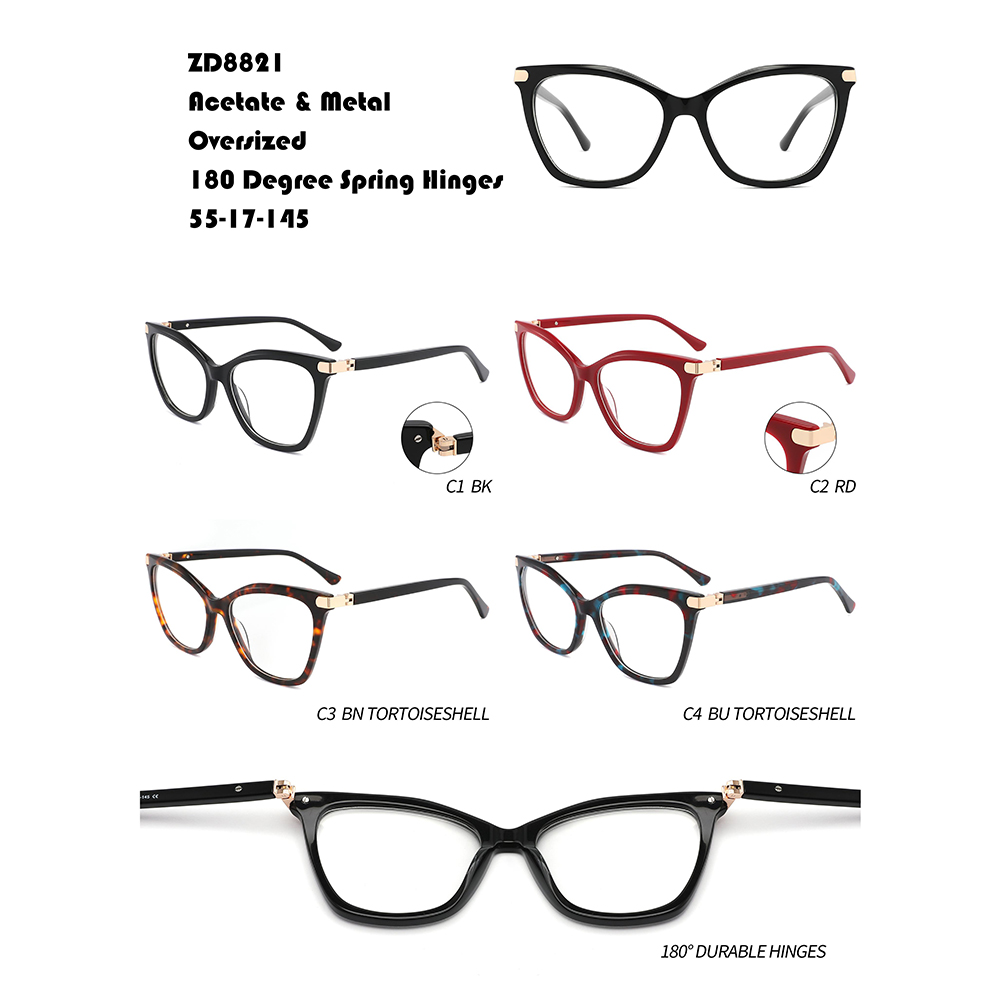 Wholesale Best Eyeglass Frames Dealer – 180 Degree Spring